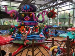 -南宫五洲植物乐园