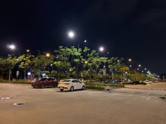 -迪士尼乐园停车场