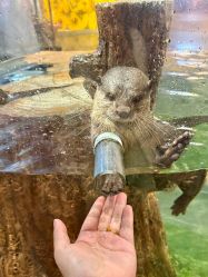 -Zoolung Zoolung动物主题公园(海信广场店)