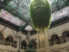 -深圳东部华侨城茵特拉根酒店