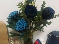 -双季花艺园艺市场(浦东店)