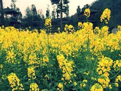 iphone_upload_pic-崇州市街子古镇