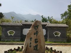 -阳台山自然风景区