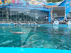 -大连老虎滩海洋公园