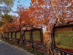 -长辛店二七公园