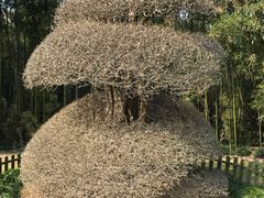 -苏州河梦清园环保主题公园