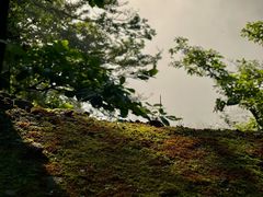-武当山风景区