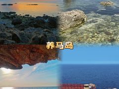 -养马岛旅游度假区