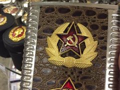 -谢列梅捷沃国际机场