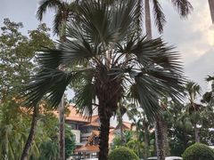 -三亚海棠湾万丽度假酒店