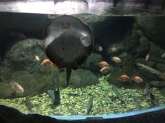 -苏州海洋馆