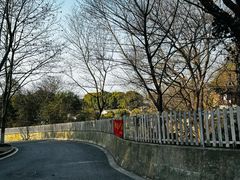 -幕燕滨江·长江观音景区