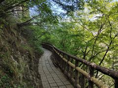 -圣莲山风景区