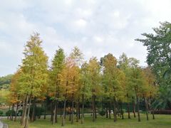 -晓港公园