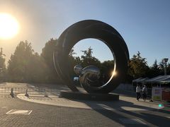 -大兴滨河森林公园