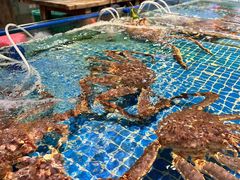 -三亚火车头万人海鲜广场