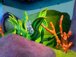 -尼克Playtime(欢乐海岸店)