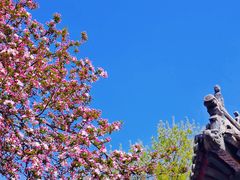 -桃花堤公园