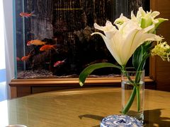 -圣爵菲斯大酒店(长沙世界之窗店)