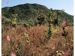 -鹿嘴山庄