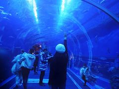 -成都浩海立方海洋公园