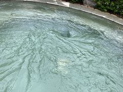 -仁爱团泊湖温泉中心
