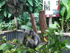 -热带雨林自然公园