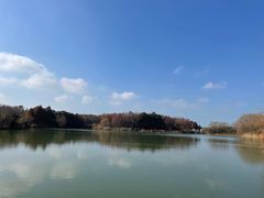 -苏州太湖国家湿地公园