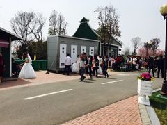 -荷兰花海