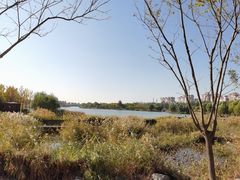 -马家湾湿地公园