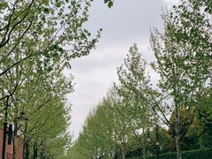 -迪士尼小镇