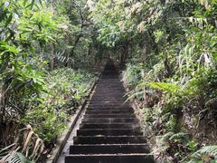 -火炉山森林公园