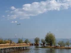 -洱海月湿地公园