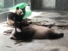 -西安秦岭野生动物园