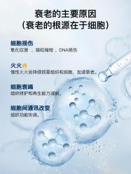 -克丽缇娜