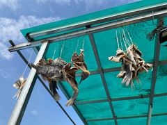 -竹泉农庄·竹筒饭(从化店)