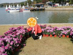 -上海月湖雕塑公园
