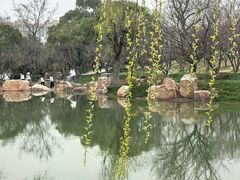 -无锡梅园公园