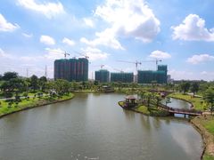 -王借岗森林公园