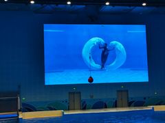 -石家庄市动物园