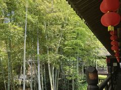 -大唐贡茶院