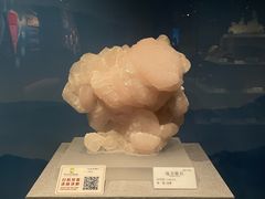 -贵州省地质博物馆