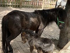 -水上乐园·欢乐世界