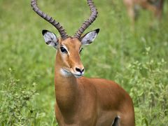 -灵山卢梅燕粉店