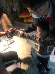 -酷嗒动物文化乐园(cutezoo西溪乐天城店)