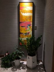 点击看大图 -苑苑vbeauty科技美容SPA