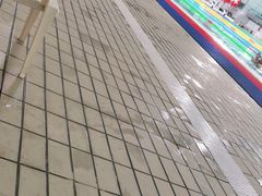 -陕西省游泳跳水馆