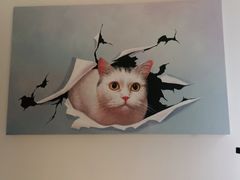 -齐玉齿科JADENTAL