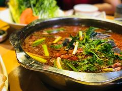 -老凯俚酸汤鱼(鸿通城店)
