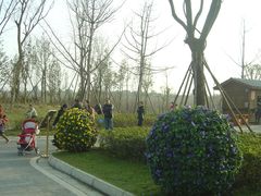 -白鹭湾湿地公园